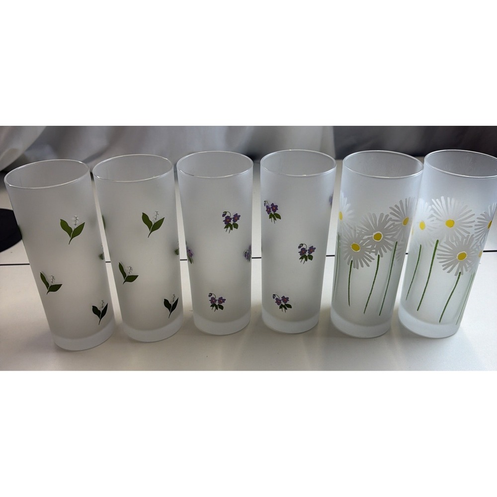 6 Dartington Designs Frosted Highball Glasses Spring Time Flowers Made In France